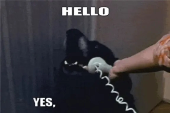 Dog holding telephone receiver in funny meme with text 'Hello, Yes'