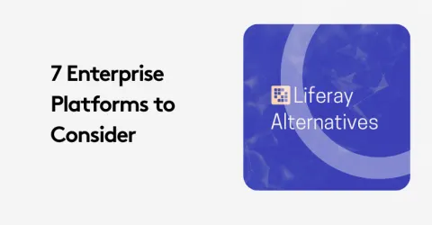Graphic showing 7 enterprise platforms to consider with Liferay alternatives.
