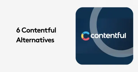 Image showing '6 Contentful Alternatives' text next to Contentful logo.