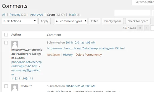 Screenshot of WordPress dashboard showing spam comments management.