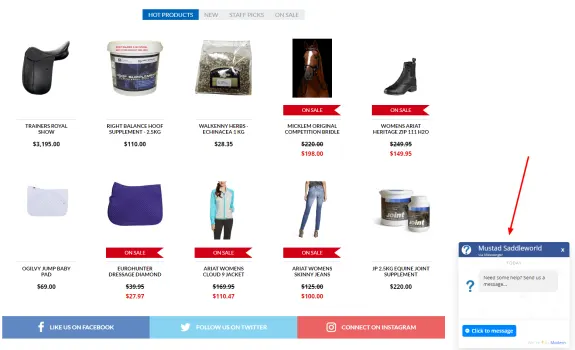 Online catalogue showcasing various equine products on sale with prices.