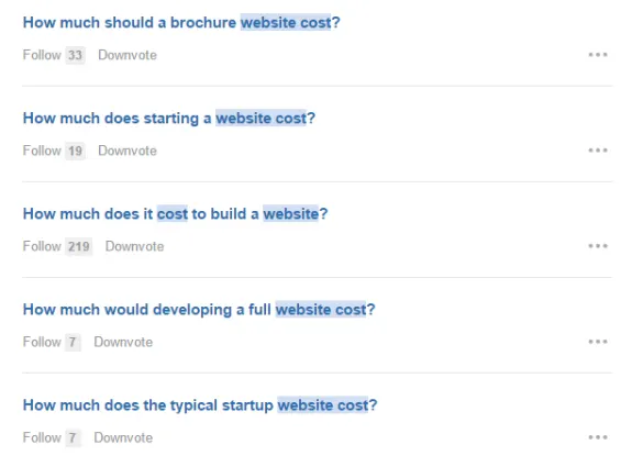 Discussion forum showing questions about website cost and development.
