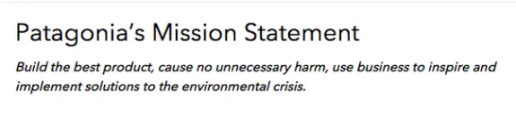 Patagonia mission statement about environmental solutions.