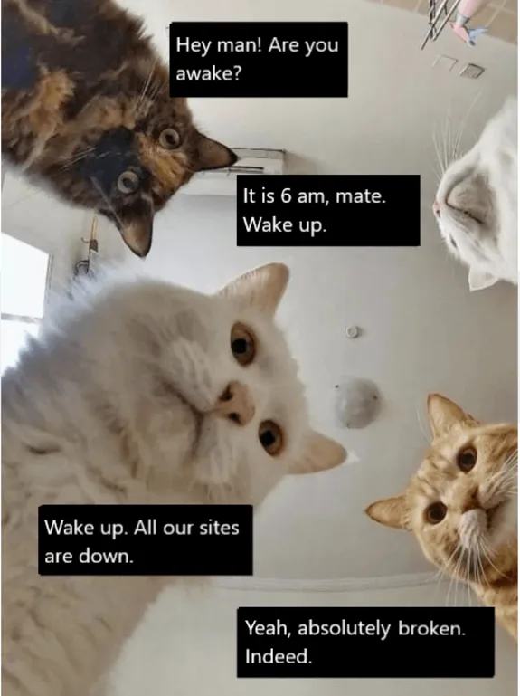 Four cats with humorous text about waking up and site issues.