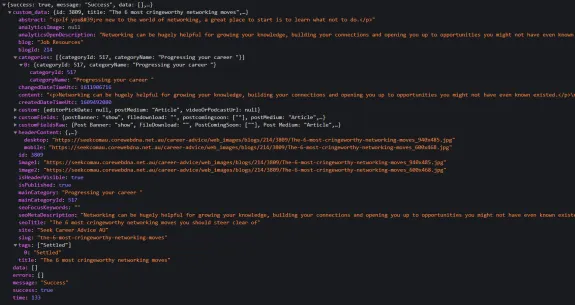 Screenshot of JSON data structure for a networking article example.